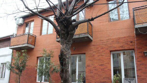 Владельцы дома Параджанова  отремонтировали его и теперь он самый симпатичный на улице - Sputnik Արմենիա