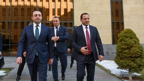 Министры обороны Армении и Грузии Давид Тоноян и Ираклий Гарибашвили после совместной пресс-конференции (27 февраля 2020). Еревaн - Sputnik Արմենիա