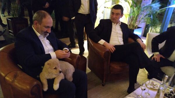 Премьер-министр Никол Пашинян с подарком от премьера Грузии Георгия Гахария (3 марта 2020). Тбилиси - Sputnik Армения