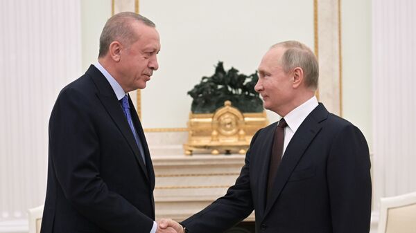  Владимир Путин и Реджеп Тайип Эрдоган  - Sputnik Армения
