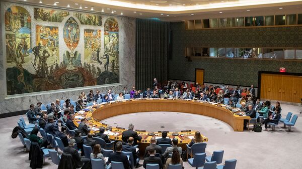 Совет Безопасности ООН проводит заседание по Ближнему Востоку (20 ноября 2019). Нью-Йорк - Sputnik Армения