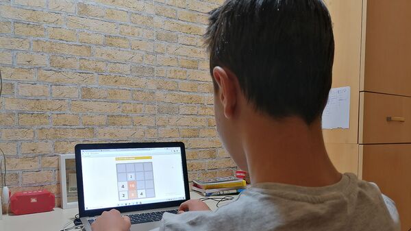 Ученик 8-го класса во время онлайн обучения - Sputnik Արմենիա