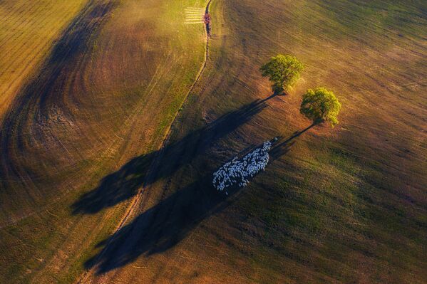 Снимок Shadow Game фотографа Marek Biegalski, победивший в категории Landscape конкурса Nature TTL Photographer of the Year 2020 - Sputnik Армения