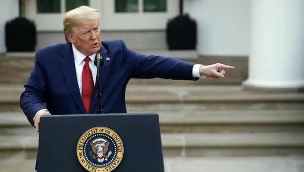 Президент Дональд Трамп на брифинге по коронавирусу в Белом Доме (29 марта 2020). Вашингтон - Sputnik Армения