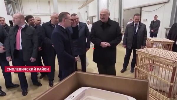 Александру Лукашенко подарили инкубатор - Sputnik Արմենիա