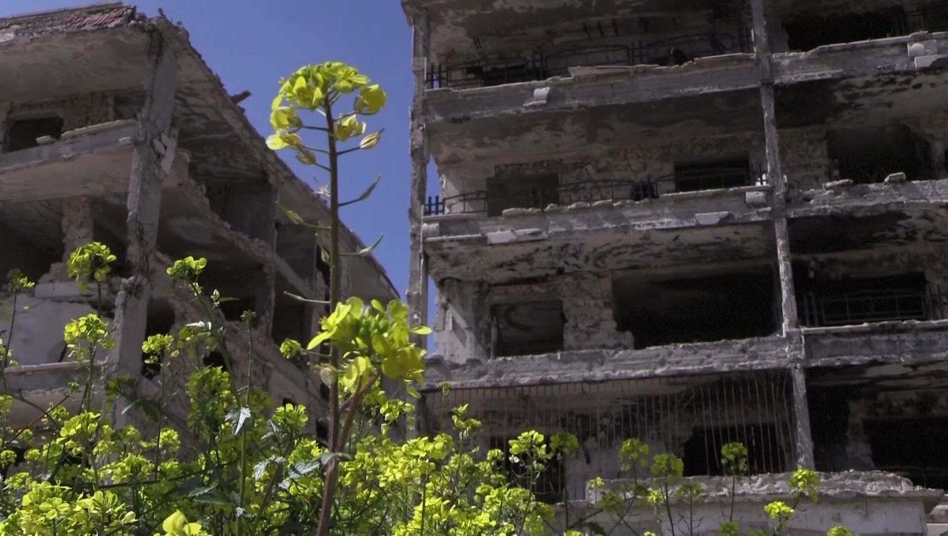 Разрушенные дома в районе Эль-Хамдания на окраине города Алеппо - Sputnik Армения, 1920, 09.08.2021
