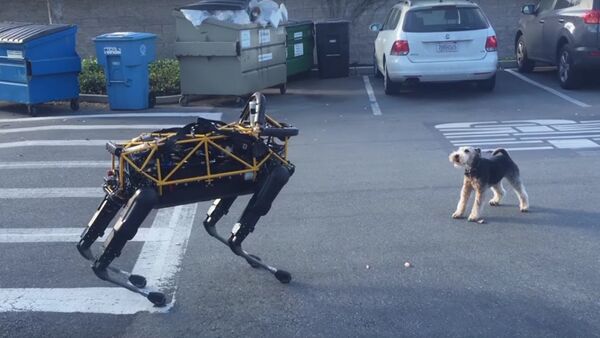Собака против робота - Sputnik Արմենիա