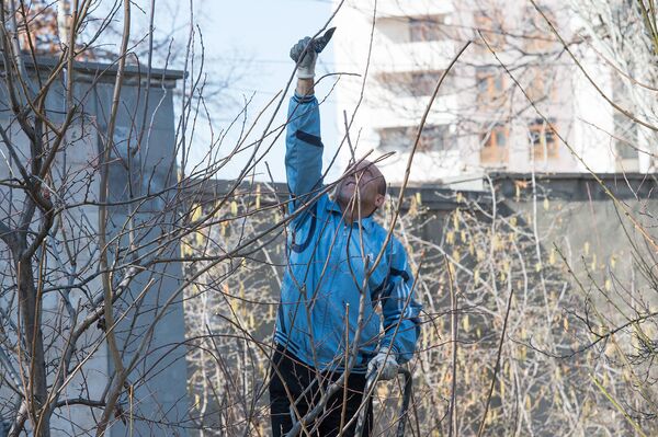 Весна - это время субботников, когда добровольцы помогают улучшить внешний вид города Весна - это время субботников, когда добровольцы помогают улучшить внешний вид города - Sputnik Армения