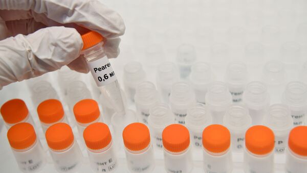 Колбы с реагентами для экспресс-тестов на коронавирус в лаборатории - Sputnik Արմենիա