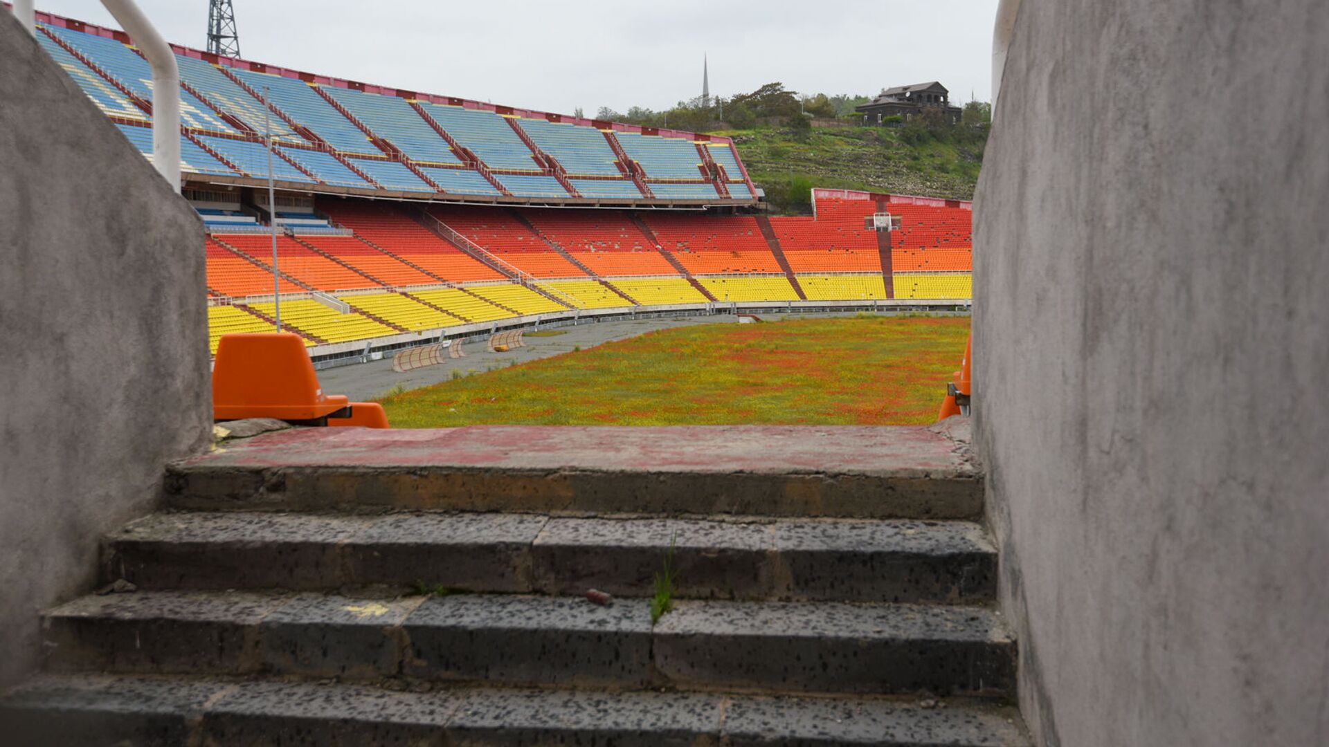 Зацветшее маками поле стадиона Раздан - Sputnik Армения, 1920, 31.03.2023