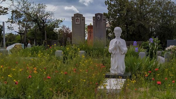 Могила на кладбище Кармир Блур в Ереване - Sputnik Արմենիա