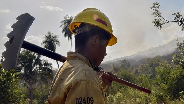 Пожарный готовится к борьбе с лесными пожарами в общине Китунукина, к югу от бассейна Амазонки (28 августа 2019). Боливия - Sputnik Արմենիա
