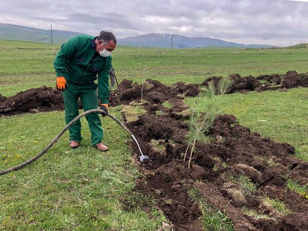 Քարուքանդ ճանապարհները խանգարում են. Արփի լիճն ավելի գրավիչ կդառնա զբոսաշրջիկների համար Քարուքանդ ճանապարհները խանգարում են. Արփի լիճն ավելի գրավիչ կդառնա զբոսաշրջիկների համար - Sputnik Արմենիա