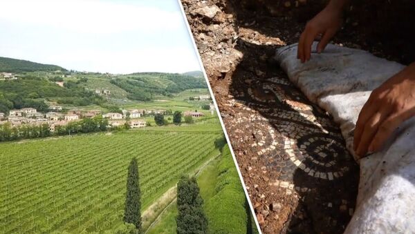 «Крупнейшее открытие года»: итальянские археологи обнаружили античную мозаику под виноградниками - Sputnik Армения