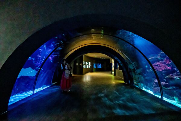 Посетительница аквариума (Acquario Civico di Milano) в Милане Посетительница аквариума (Acquario Civico di Milano) в Милане - Sputnik Армения