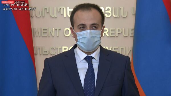 Министр здравоохранения Арсен Торосян во время онлайн брифинга (8 июня 2020). Еревaн - Sputnik Արմենիա