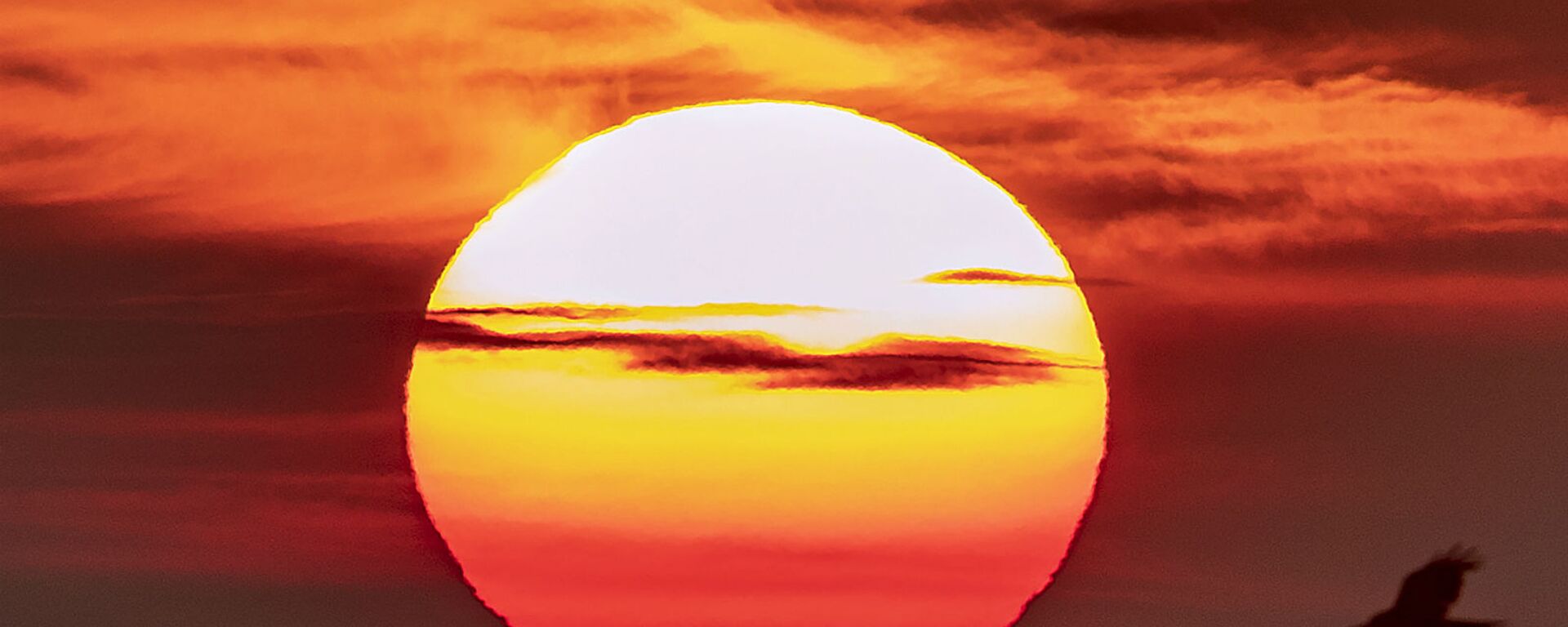 Восход солнца в день летнего солнцестояния (21 июня 2019). Франкфурт, Германия - Sputnik Армения, 1920, 20.04.2021