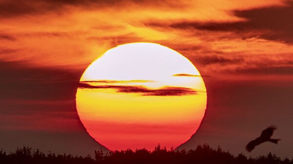 Восход солнца в день летнего солнцестояния (21 июня 2019). Франкфурт, Германия - Sputnik Արմենիա