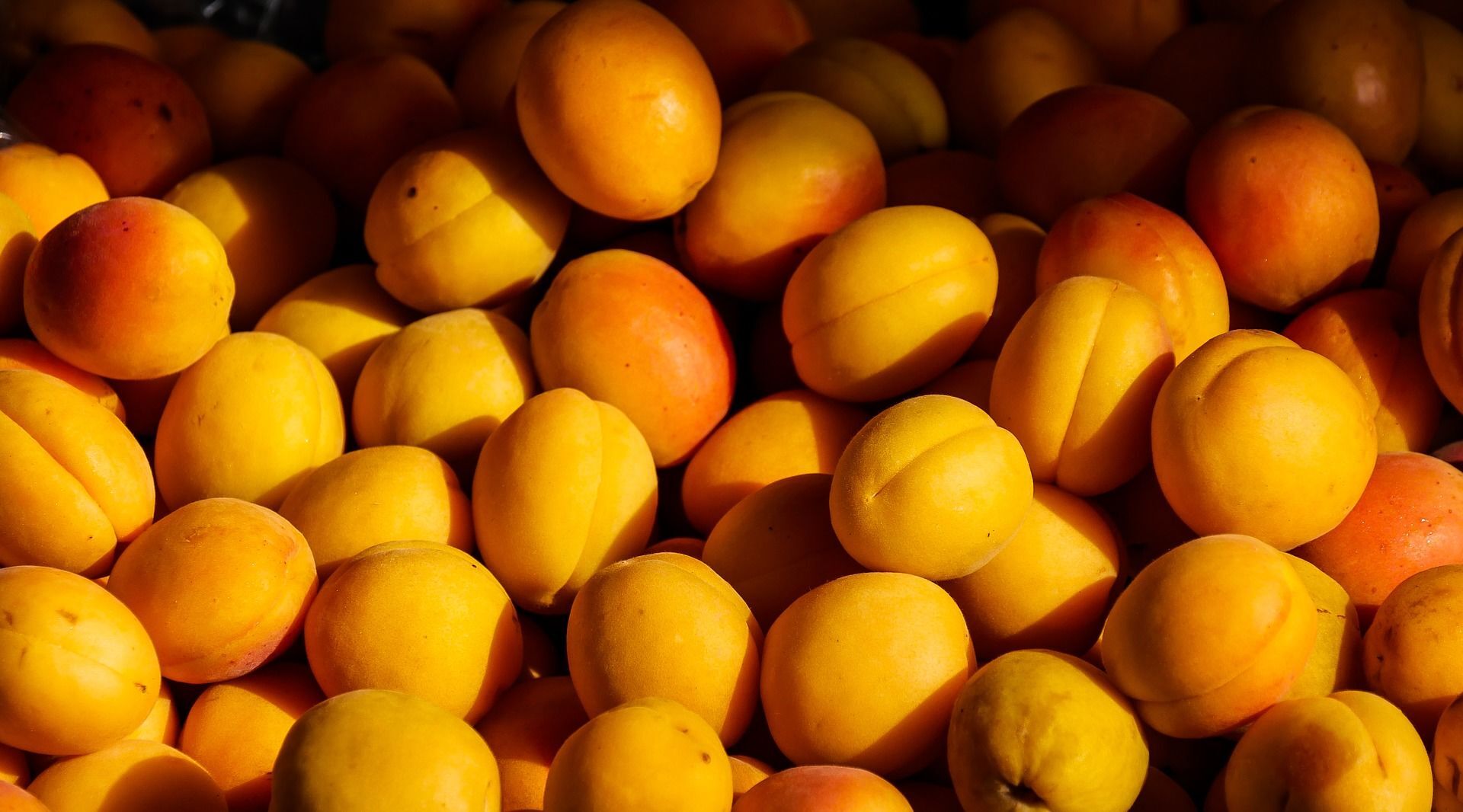 Что происходит с организмом, когда вы едите абрикосы? - Sputnik Армения, 1920, 20.07.2021