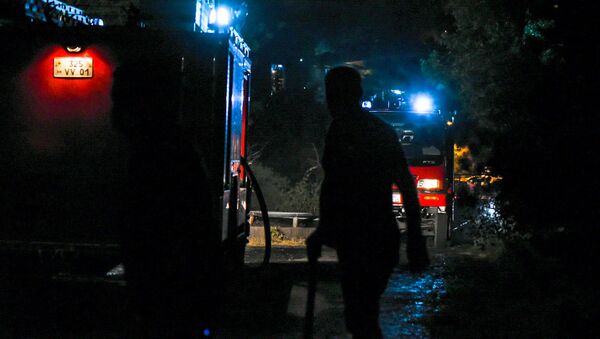 МЧС на месте пожара в Цицернакаберде (26 июня 2020). Еревaн - Sputnik Արմենիա