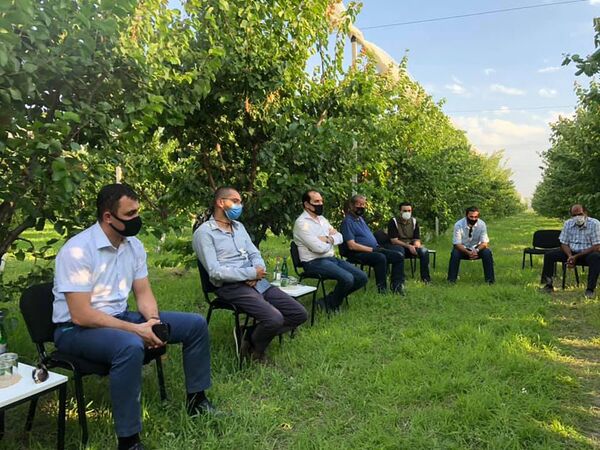 Правительство Армении предоставит виноделам дополнительные кредиты Правительство Армении предоставит виноделам дополнительные кредиты - Sputnik Армения