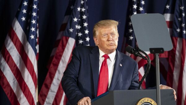 Выступление президента Дональда Трампа на праздновании Дня независимости в Национальном мемориале на горе Рашмор (3 июля 2020). Кейстоун, Южная Дакота - Sputnik Армения