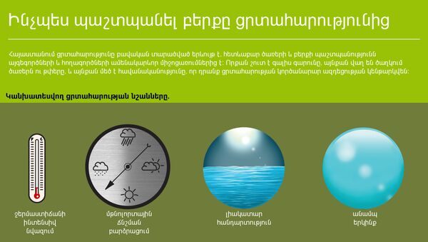 Ինչպես պաշտպանել բերքը ցրտահարությունից - Sputnik Արմենիա