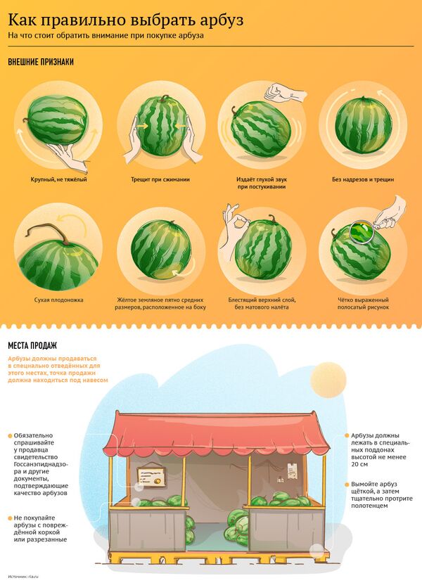 Инфографика. Как выбрать спелый и сочный арбуз - Sputnik Արմենիա