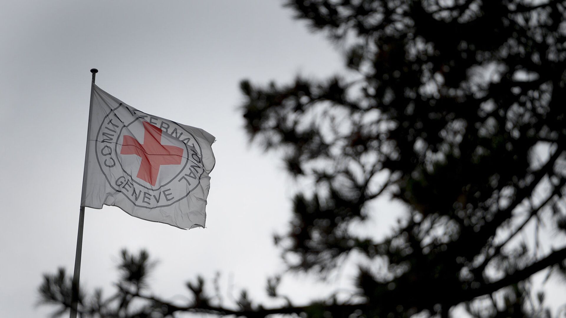 Флаг организации Красного креста - Sputnik Արմենիա, 1920, 14.06.2021