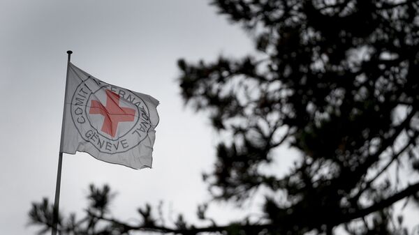 Флаг организации Красного креста - Sputnik Արմենիա