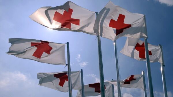Флаги организации Красного креста - Sputnik Արմենիա