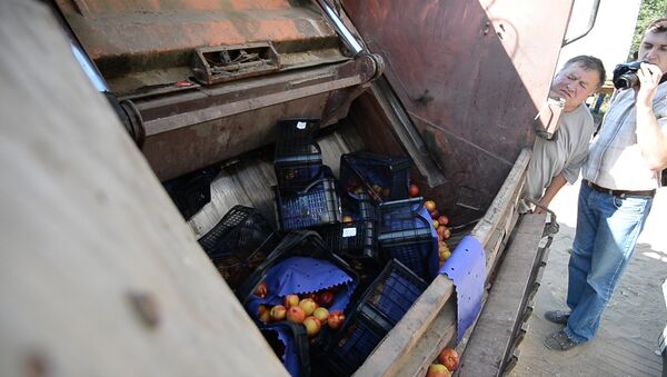 Бульдозером по продуктам: тонны еды уничтожили на границе с Россией - Sputnik Армения
