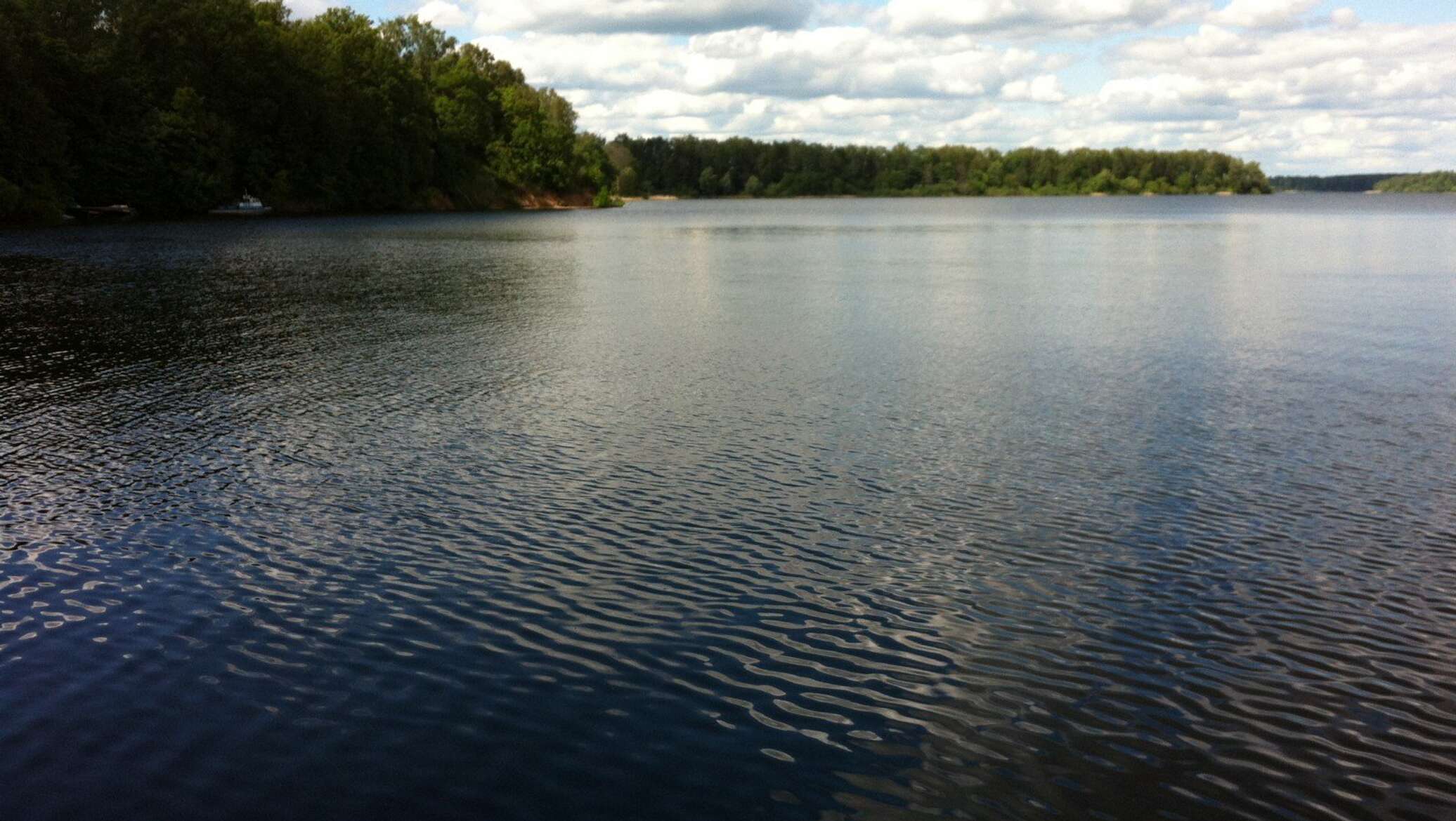 Истринское водохранилище рыба. Истринское водохранилище Ламишино. Ламишино пляж Истринское водохранилище. Истринское водохранилище Ламишино променад. Рыбалка Ламишино Истринское водохранилище.