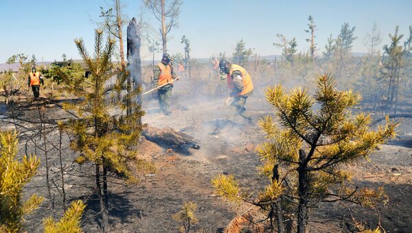 Борьба с лесными пожарами в Забайкальском крае - Sputnik Армения