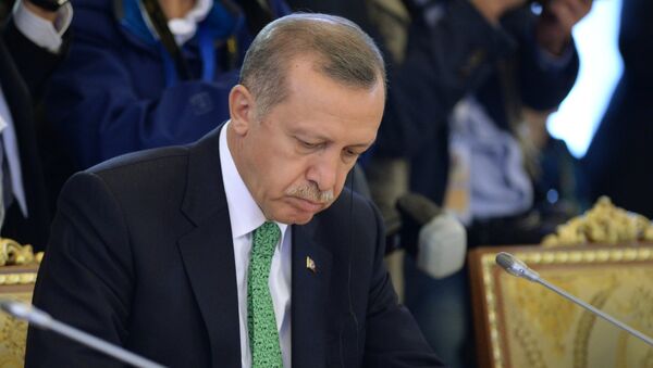 Президент Турции Реджеп Тайип Эрдоган. Архивное фото. - Sputnik Արմենիա