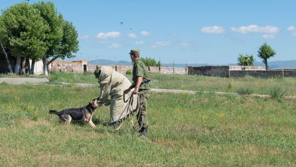 Собака атакует предполагаемого нарушителя на армяно-турецкой границе - Sputnik Армения