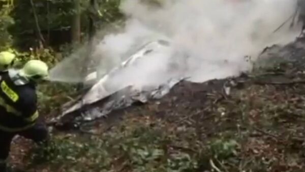 СПУТНИК_Пожарные тушили догоравшие обломки столкнувшихся самолетов L-410 в Словакии - Sputnik Армения