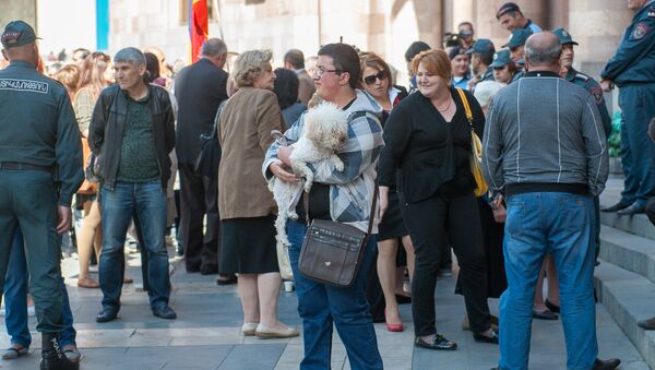 Акция правозащитников животных у правительства РА с требованием решения проблемы бездомных собак - Sputnik Армения