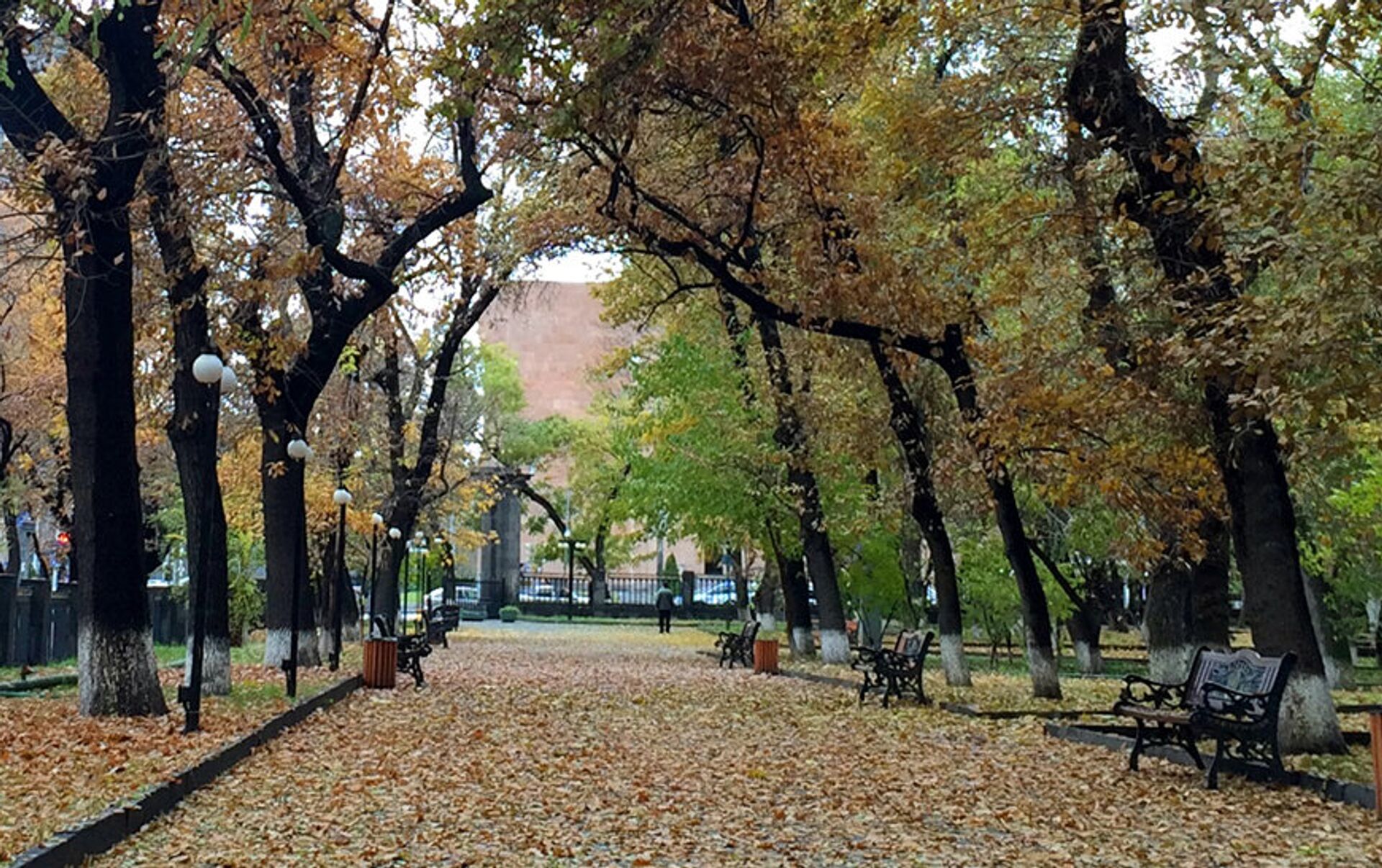 Золотая осень в Ереване