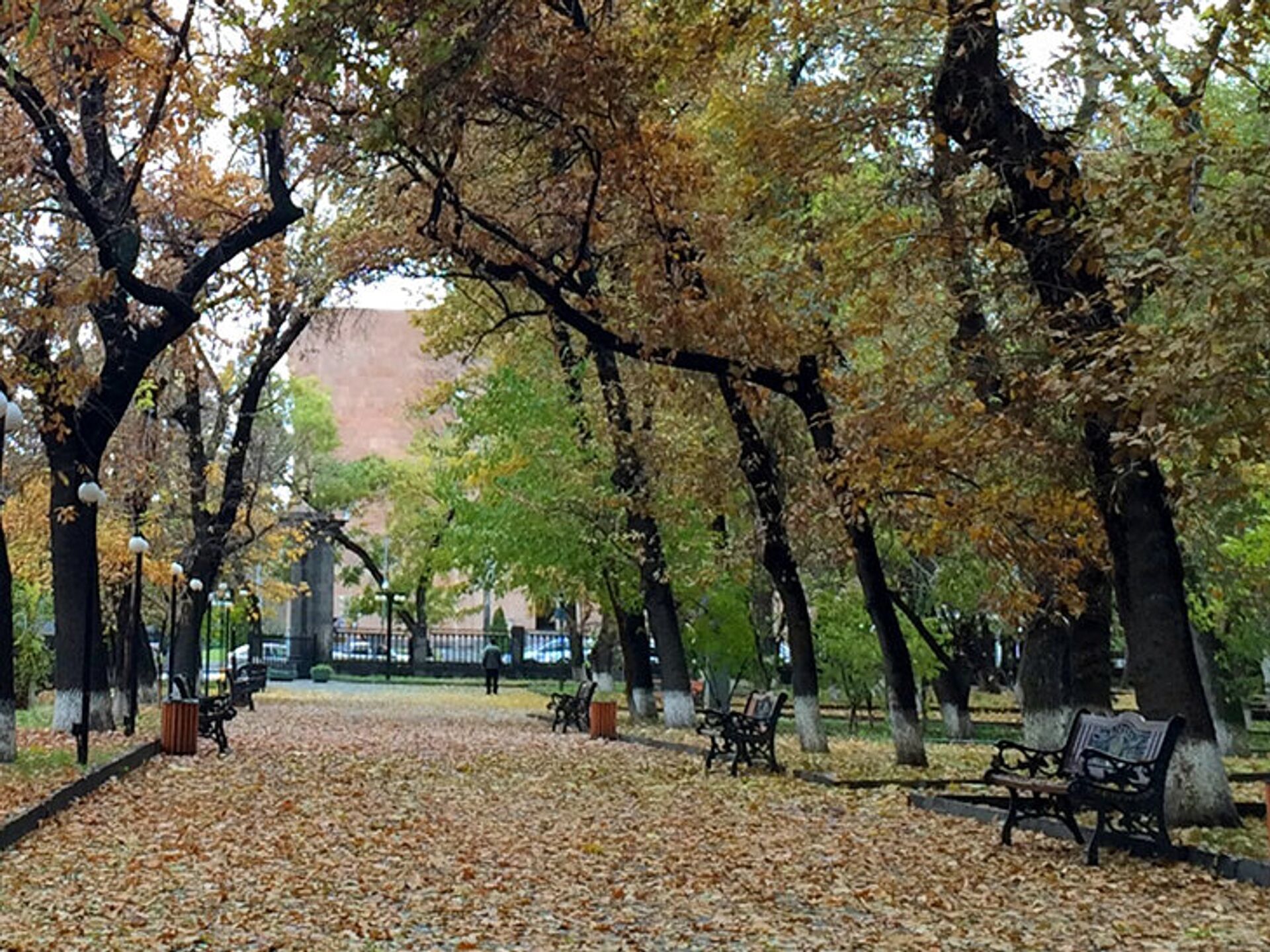 Ереван сентябрь. Осень в Ереване. Армения Ереван осень. Ереван осенью. Ереван в октябре.