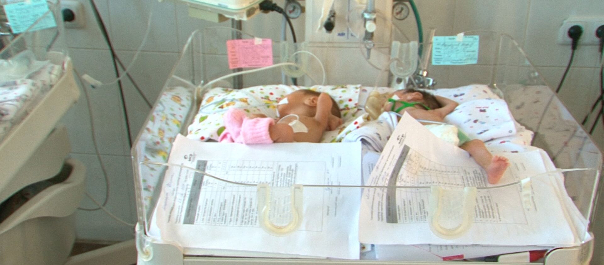 сколько детей в день рождается в армении. Смотреть фото сколько детей в день рождается в армении. Смотреть картинку сколько детей в день рождается в армении. Картинка про сколько детей в день рождается в армении. Фото сколько детей в день рождается в армении