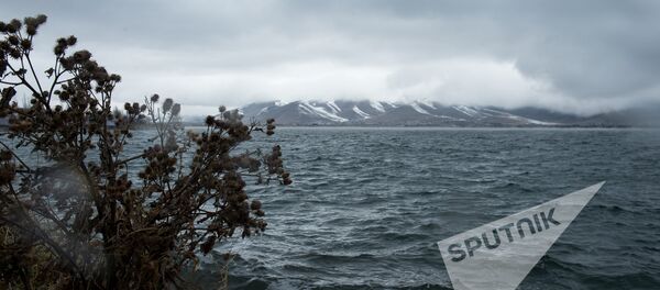 какая рыба водится в севане армения. Смотреть фото какая рыба водится в севане армения. Смотреть картинку какая рыба водится в севане армения. Картинка про какая рыба водится в севане армения. Фото какая рыба водится в севане армения