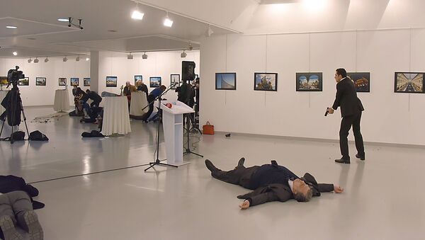 Убийство посла России в Турции - Sputnik Արմենիա