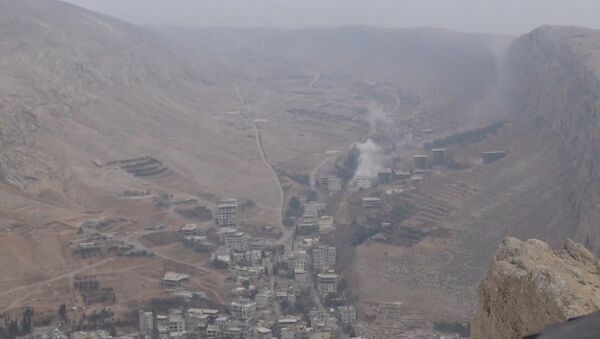 СПУТНИК_Сирийская армия взяла под контроль источник пресной воды в окрестностях Дамаска - Sputnik Армения