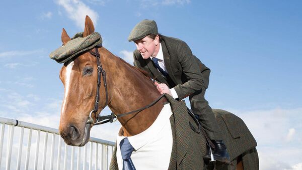 Конь в пальто: в Англии представили первый в мире твидовый костюм для лошади - Sputnik Армения