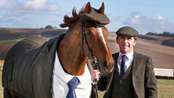 Конь в пальто: в Англии представили первый в мире твидовый костюм для лошади - Sputnik Արմենիա
