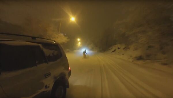 Экстремалы на лыжах прокатились по улицам Еревана - Sputnik Արմենիա