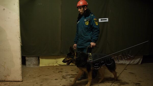 ՀՀ ԱԻՆ աշխատակիցը շան հետ. արխիվային լուսանկար - Sputnik Արմենիա