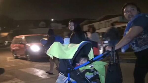 Спутник_Люди с детьми и животными вышли из домов на улицы после землетрясения в Чили - Sputnik Արմենիա