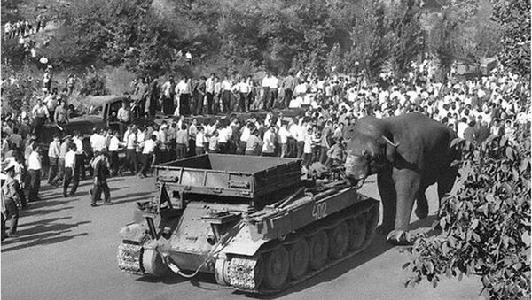 28 июня 1970 года. Слон толкает танк - Sputnik Արմենիա